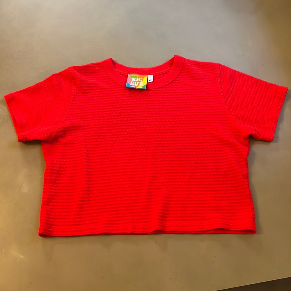 Big Bud Press red crop top